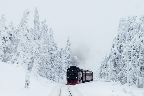 Medvede - Medvedia cesta